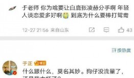 圈内爆料白鹿张凌赫视频